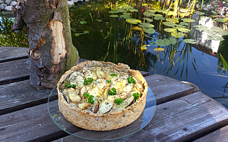 Tarta z grzybami Tarta z grzybami